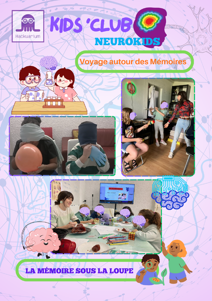 File:Neurokids memoire .png